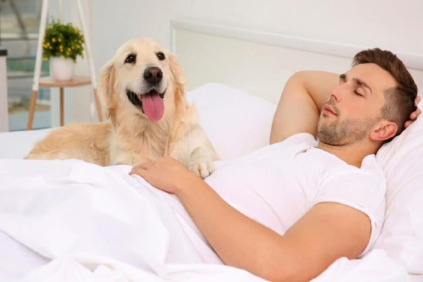 نبردن حیوانات خانگی به تختخواب